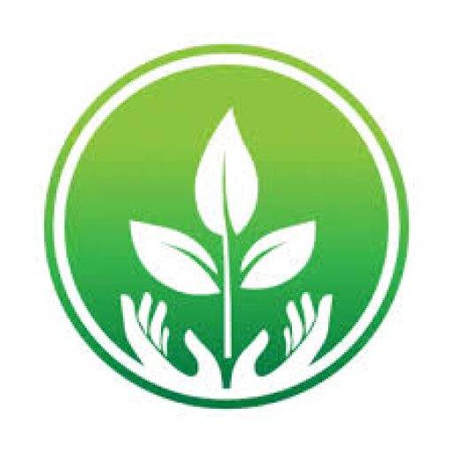 Hút Hầm Cầu Giá Rẻ Tại HCM
